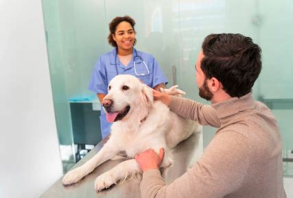 How Does Neutering Work? | Blog | TailWings