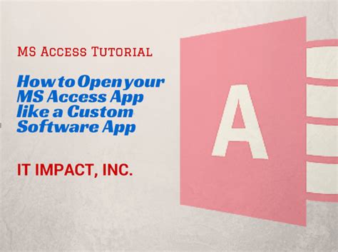 open  ms access app   custom software app