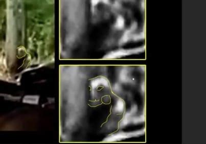 Pombero, the Monster from Paraguay, Sighting - Sasquatch Chronicles