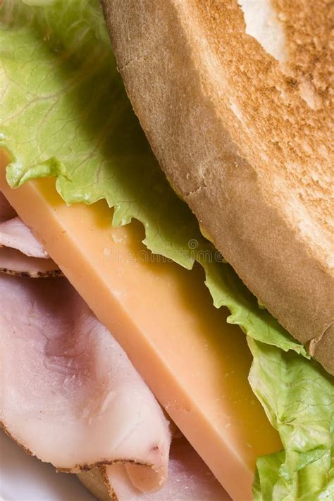 Ham and cheese stock photo. Image of sandwich, mustard - 3304800