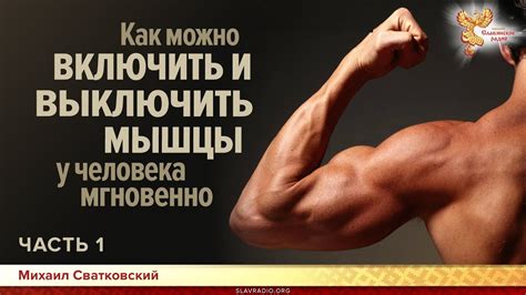 Как можно включить и выключить мышцы у человека мгновенно. Михаил ...