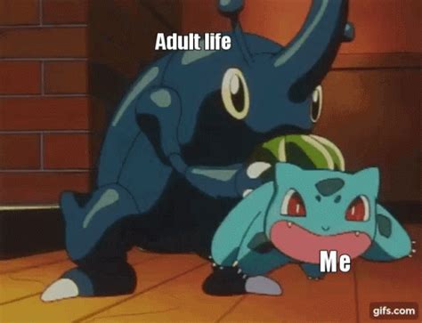 pokemon adult gif pokemon adult adult life discover share gifs