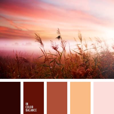розовато-коричневый | IN COLOR BALANCE