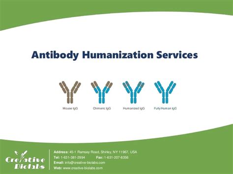 Antibody Humanization service creative biolabs