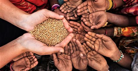 Charity: The Pillar of Islam | Kashmir Reader