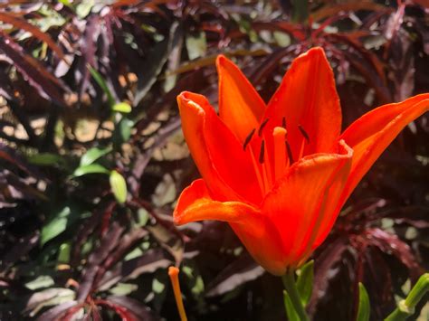 Moonzy 🌙 on Tumblr