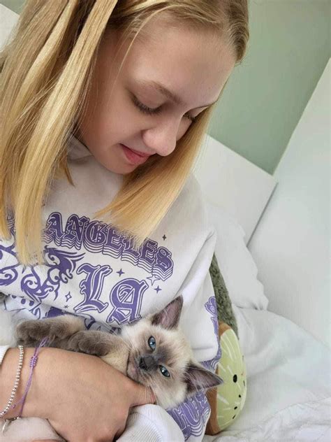We Love Ragdolls