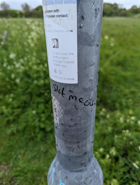Rubbish Graffiti Slut me out. Northampton UK : r/rubbishgraffiti