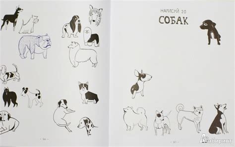 Книга: 20 способов нарисовать кошку и 44 других удивительных животных ...