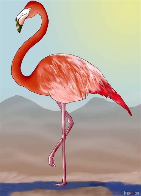 How To Draw A Flamingo - Drawing.rjuuc.edu.np