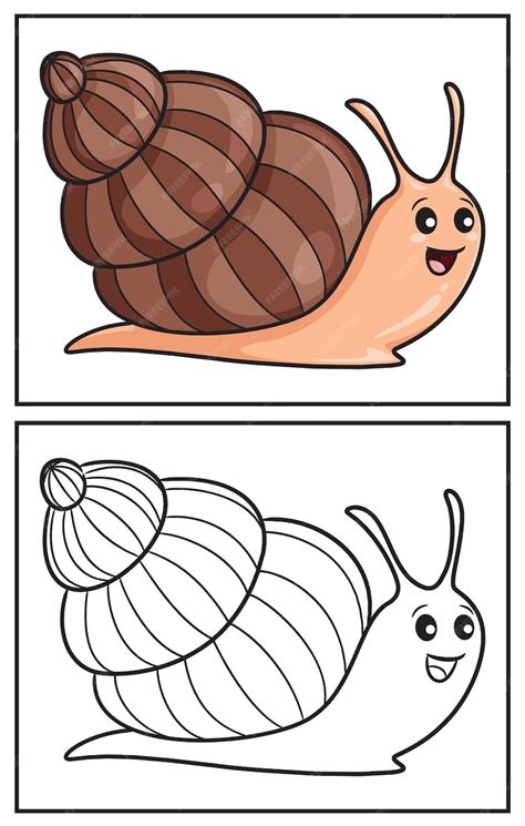 Premium Vector | Coloring book cute snail coloring page and colorful ...