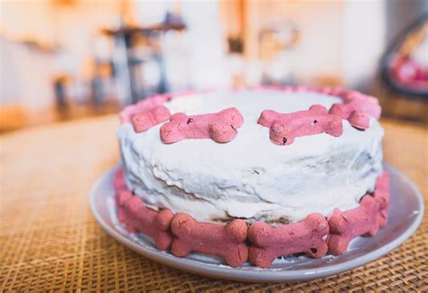 how to make a dog friendly cake