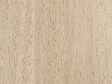 natural beech wood lumber yard majofesa