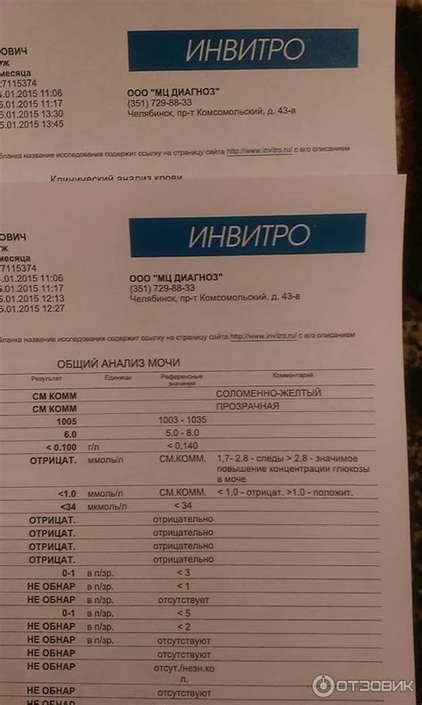 Инвитро Лишний Вес — Похудение Диета Правильное Питание