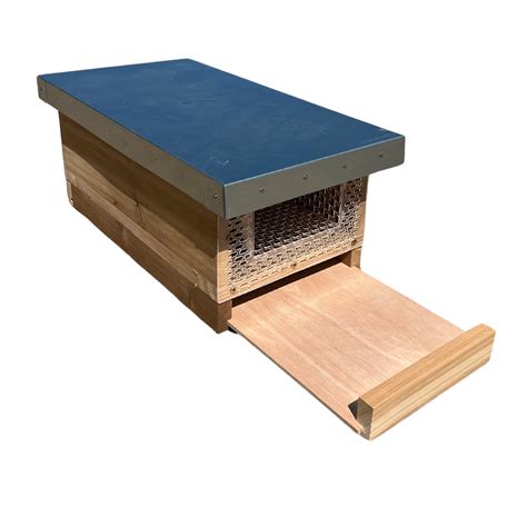 The Ultimate Asian Hornet Trap in Cedar – Hagen's Bees