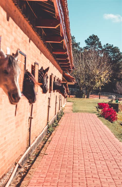 ranch landscape design houston texas