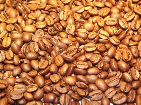 Roasted Coffee Beans Australia at Ella Gatliff blog