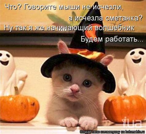 Новая котоматрица (39 фото)