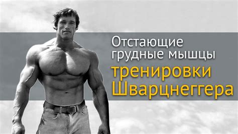 Тренировка отстающих мышц груди: секреты Арнольда Шварцнеггера - YouTube