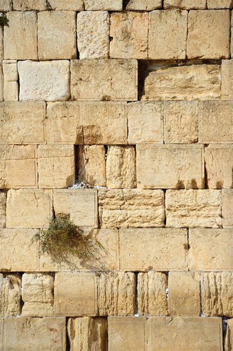 Western Wall in Jerusalem. Israel Stock Photo - Image of rock, culture ...