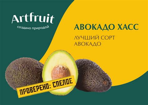 Авокадо: за что такие деньги?!