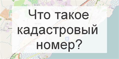 Кадастровые номера земельных участков: что такое, как узнать и найти ...