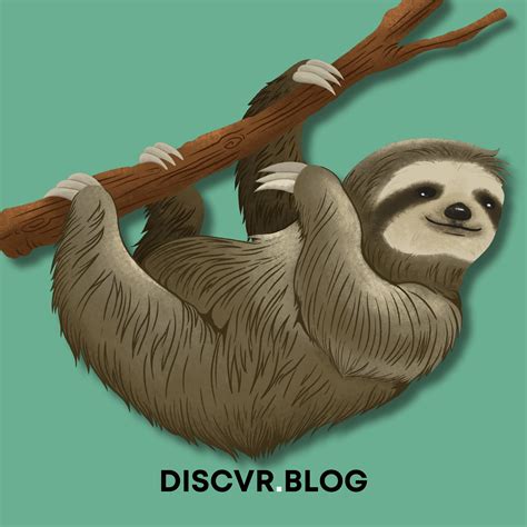 The yellow-throated marten is nature’s mix of elegance and chaos 🐾🌿