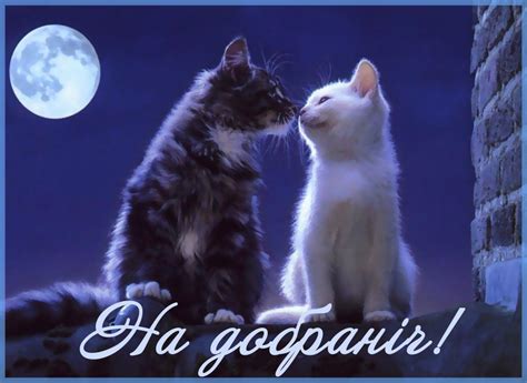 Добраніч - привітання, картинки та листівки.