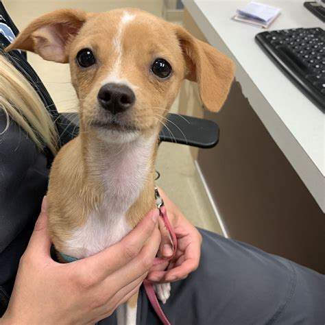 We think that there is no better way to... - Eagan Pet Clinic