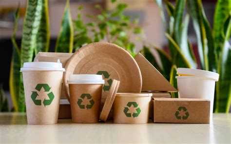 Are Paper Cups Recyclable? Get the Truth Here