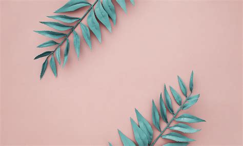 Pink Background with Green Leaves