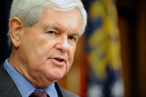 vetting newt gingrich  washington post