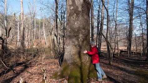 Room Without Walls: Over 600 Acres Just for Us