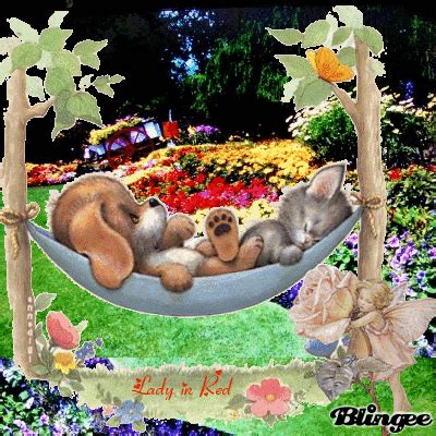 BUON RIPOSO Picture #126787748 | Blingee.com