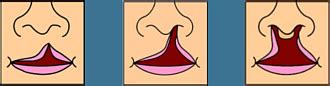 Gaumen und Mundhöhle: Anatomie, Funktion, Beschwerden