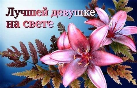 Самые красивые комплименты девушке. Как очаровать девушку
