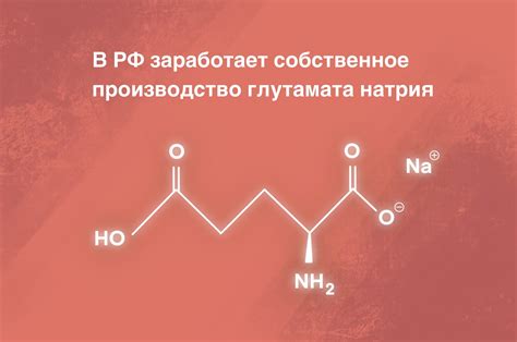 В РФ заработает собственное производство глутамата натрия