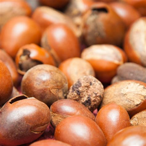 Ingredient Karite | HEI POA