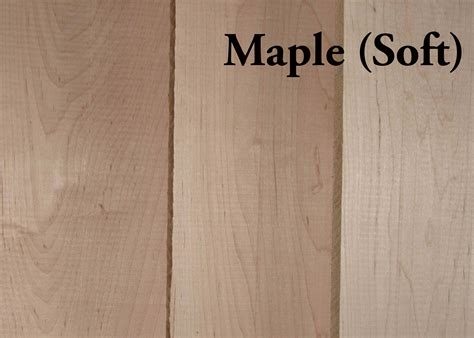 Maple Wood