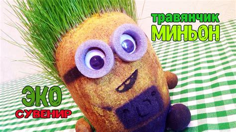 Экоживчик ТРАВЯНЧИК Выращивание травки - YouTube