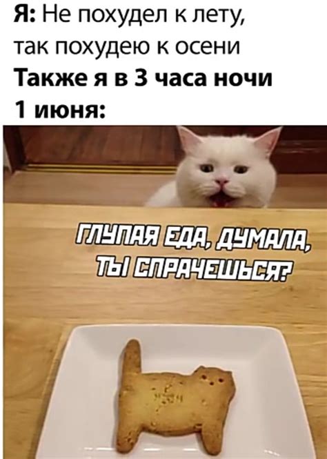Jokes, Lol, Humor, Funny, Husky Jokes, Humour, Memes, Funny Photos ...
