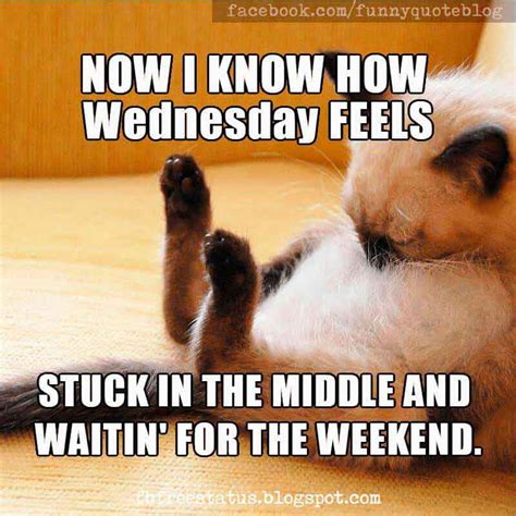 Funny Wednesday Meme, Images, Pictures And Photos