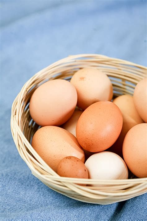 black australorp egg color 6