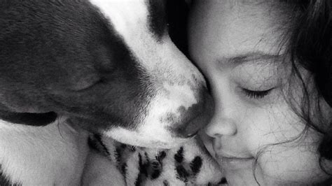 Petition · Stop BSL - United States · Change.org