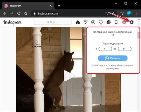 Как скачать фото и видео с Instagram на компьютере