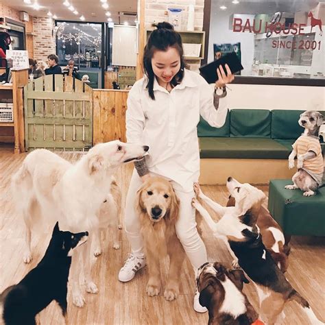 Nationwide franchising could be the next move for lost dog cafe 16