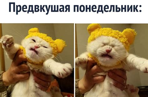С добрым утром Понедельник, прикольные картинки (69 картинок) - ФУДИ