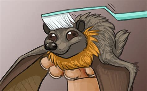 meme wallpapers hd desktop  mobile backgrounds