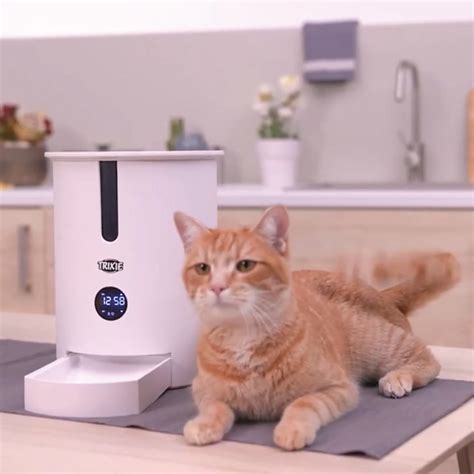 Mascotas: ¿Cómo la tecnología está revolucionando el mercado de