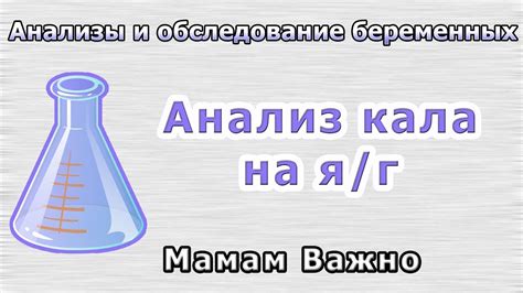 Анализы для беременных: как сдается анализ кала на я/глист? - YouTube
